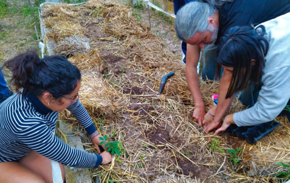 Call for ESC about permaculture in Mas les Vinyes